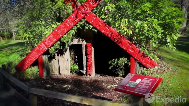 Rotorua Vacation Travel Guide   Expedia